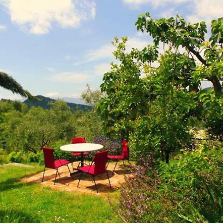Agriturismo Brasino Фоздіново Екстер'єр фото