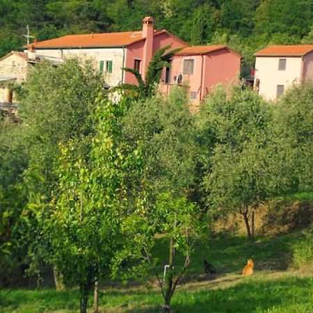 Agriturismo Brasino Фоздіново Екстер'єр фото