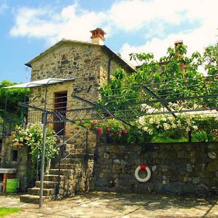 Agriturismo Brasino Фоздіново Номер фото