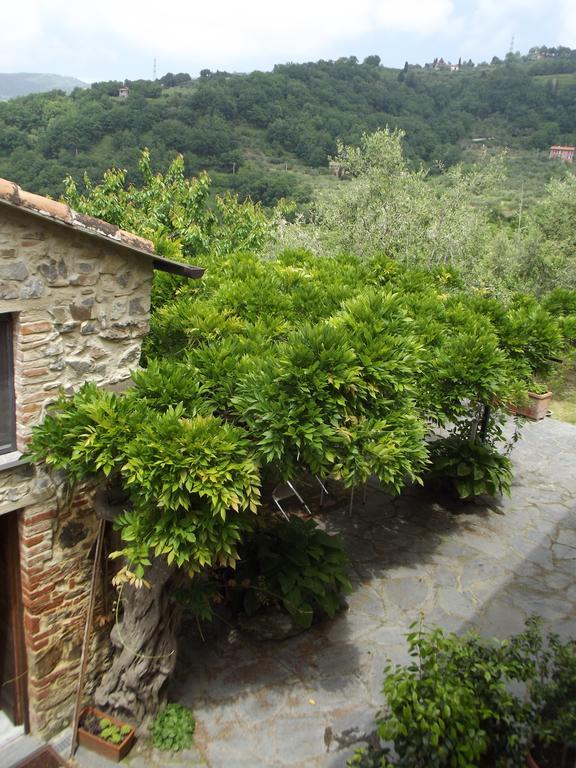Agriturismo Brasino Фоздіново Номер фото