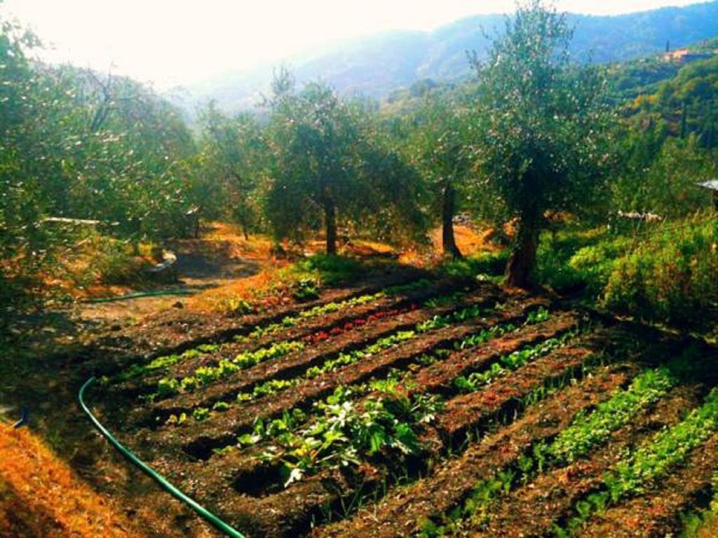 Agriturismo Brasino Фоздіново Номер фото